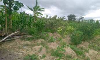 Imagem 2: Vendo um terreno