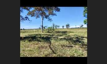 Imagem 4: Faz 158 Alq oportunidade 70 mil o Alqueires