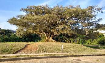 Imagem 3: Porto Alegre - Terreno Padrão - Campo Novo