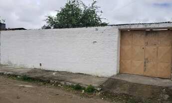 Imagem 6: Oportunidade de aluguel casa