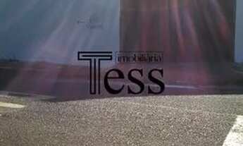 Imagem 3: Salão à venda, Manoel Del Arco - JD. - São José do Rio Preto/SP