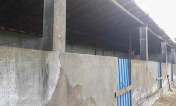 Imagem 5: Fazenda para pessoa de bom gosto 480 hectares encantadora