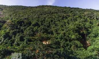 Imagem 7: Apartamento para Aluguel - São Conrado, 4 Quartos, 149 m2