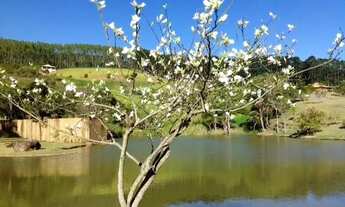 Imagem 7: Terreno-À VENDA-Fazenda Santo Antonio das Paineiras-Morungaba-SP