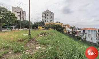 Imagem 6: São Paulo - Terreno Padrão - Vila Romana