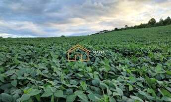 Imagem 5: Terreno Rural 140.000m² com 8 hectares de lavoura pronta em Campo Belo do Sul - SC