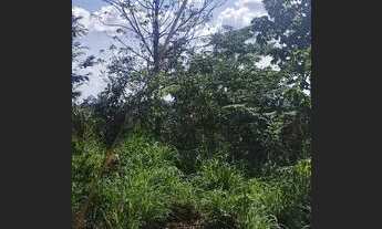 Imagem 7: Terreno bairro porto centro