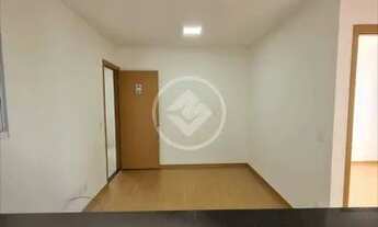 Imagem 7: Chapada Dos Pinhais codigo: 25437