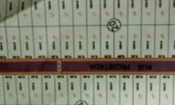 Imagem 3: Lote/Terreno à venda, Não Informado - Guarabira/PB