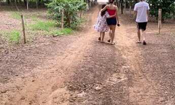 Imagem 4: Terreno 510m² para rancho em condomínio fechado Buritama/SP