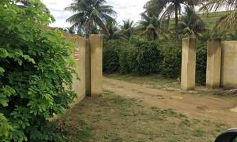 Imagem 4: Fazenda em Anchieta - ES