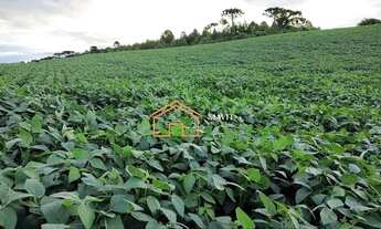 Imagem 4: Terreno Rural 140.000m² com 8 hectares de lavoura pronta em Campo Belo do Sul - SC