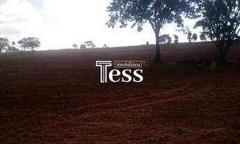 Imagem 6: Vende 02 Alqueires de Terra plana , próximo a Talhados, $400,000,00 cada