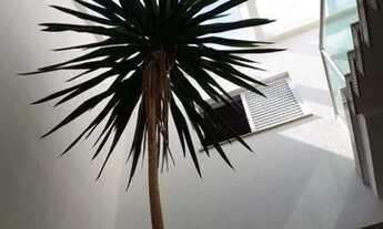 Imagem 7: SOBRADO - VILA SCARPELLI - SP