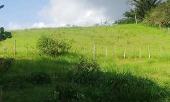 Imagem 5: Sitio pra vender