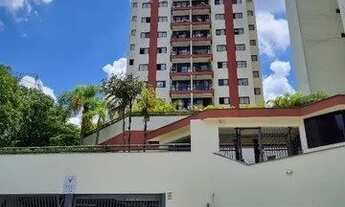 Imagem: SãO PAULO - Padrão - Jardim Marajoara