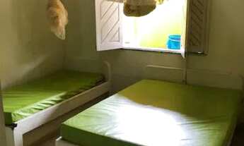 Imagem 6: Alugo para temporada