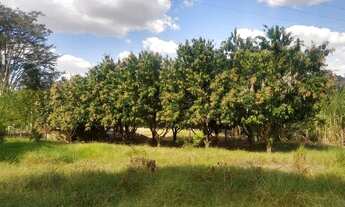 Imagem 6: Chacara ,terreno monte alto