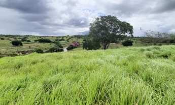 Imagem 6: Excelente fazenda com 21,6 hectares de porteira fechada com 35 animais
