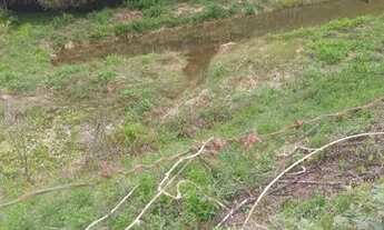 Imagem 4: Chácara 3.700mts rio a cima Alagoa mg