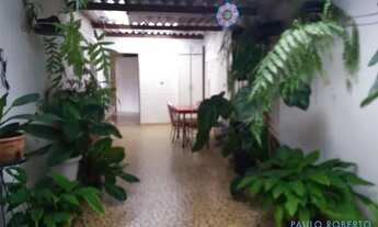 Imagem 4: CASA TÉRREA - VILA BAETA NEVES - SP