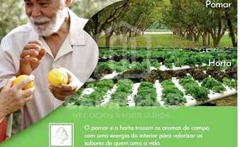 Imagem 8: Terreno - Betel - Paulínia