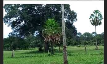 Imagem 2: Fazenda de arrendamento 1.200 hec em Itiquira MT. Grade combinar