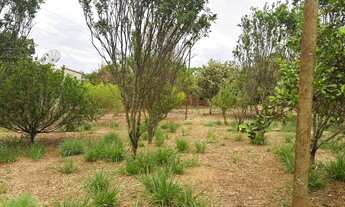 Imagem: Chácara com 3 dormitórios à venda, 2000