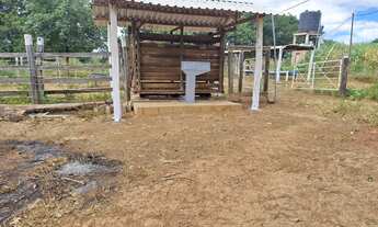 Imagem 4: Sitio na estrada da produção !