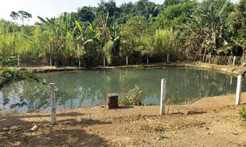 Imagem 4: Chácara px Anápolis