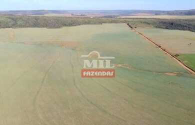Imagem 3: Fazenda 102 Alqueires (494 Hectares) São João dAliança - GO
