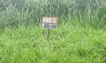 Imagem 5: Lote de esquina jardim Miramar