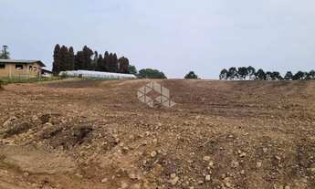 Imagem 5: Terreno com 30.000 m2 no distrito industrial de São Francisco de Paula