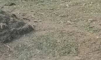 Imagem 2: Lote de 277 m2 a venda