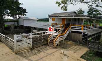 Imagem 2: Sítio / Chácara para Venda em Iranduba, Várzea de Iranduba