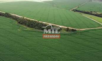 Imagem 6: Fazenda 102 Alqueires (494 Hectares) São João dAliança - GO