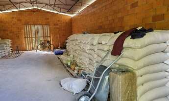 Imagem 6: Vendo um sítio no km 02 de Novo Airao-Am