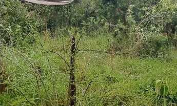 Imagem 2: Chácara em Bela vista