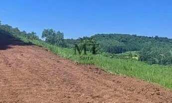 Imagem 5: Área de terra bairro Quatro Cantos, Picada Café.RS REF: 333