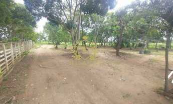 Imagem 3: Sítio dos Sonhos 500.000 m² de Terra Plana, Lazer e Produção à venda por R$ 5.000.000,00