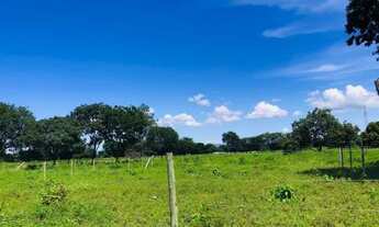 Imagem 2: Oportunidade! Terreno 560 m² perto do Asfalto - Brejo do Amparo