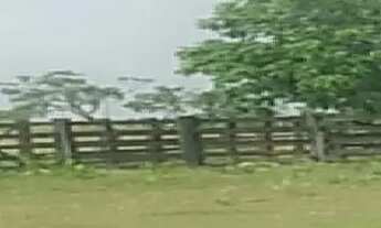 Imagem 6: Imóvel para venda possui 420 metros quadrados com 2 quartos em Grande Terceiro - Cuiabá