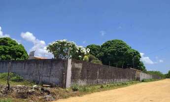 Imagem 6: Chácara a venda no Matapoã