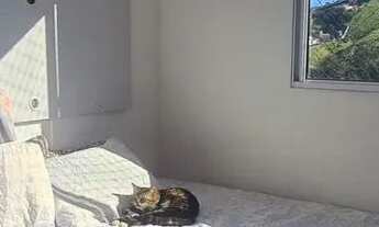 Imagem 5: Apartamento 2 quartos no Bandeirantes