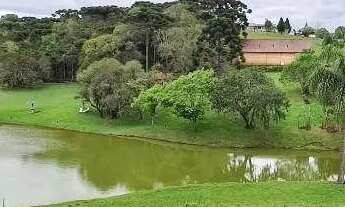 Imagem 7: Chácara com 4 dormitórios à venda, 153600 m² por R$ 18.000.000 - Rondinha - Campo Largo/PR