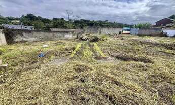 Imagem 6: TERRENO COM 460 M² (16 DE FRENTE) PLANO NO SÃO GABRIEL EM COLOMBO