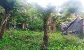 Imagem 4: Chacarra quatro baras