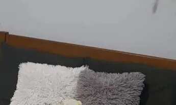 Imagem 5: Casa à venda ou locação com 3 quartos, vaga de garagem, piscina em Maricá