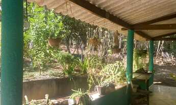 Imagem 7: Chácara de 5330 m² com 02 quartos à venda por R$ 350.000 em Hidrolândia