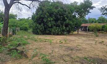 Imagem 4: Chácara a venda